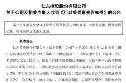 巴安水务受损股民索赔预征集法律途径与策略分析