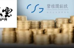 押注式投资现代金融市场的双刃剑