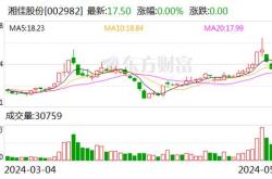泰和新材什么时候分红