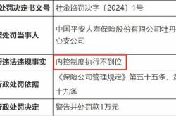 揭秘平安人寿大理中心支公司财务资料不真实背后的监管与企业责任
