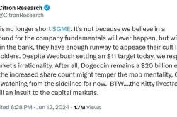 香橼宣布停止做空游戏驿站