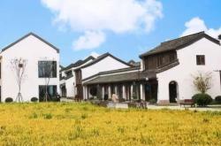 花瓶实用：除了好看黄金比例还有什么用？