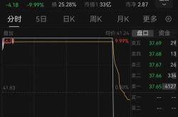 毛记葵涌股价早盘大幅跳水市场反应与潜在影响分析