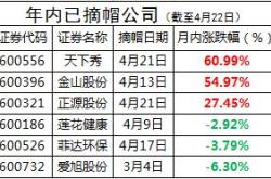 家股公司成功摘帽逆境中的重生与未来展望