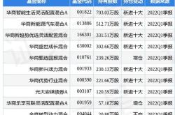 中创股份：年度权益分派派元股权登记月日