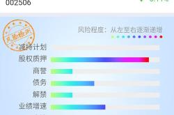 光线传媒招股说明书