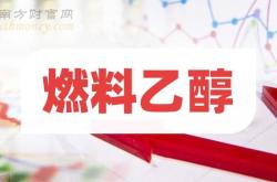 演讲主题燃料乙醇概念盘中拉升，海越涨%