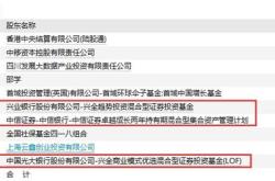 金科：管理人公开招募和遴选重整投资人