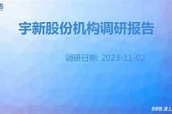 宇新股份发行价格
