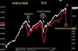 持仓揭秘：市场情绪与大宗商品基金的博弈
