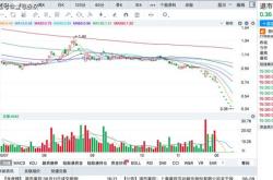 只年内创新高股抗跌四大特质突出