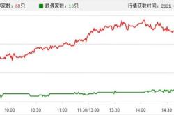 山东章鼓：年第二季度章鼓转债转股股