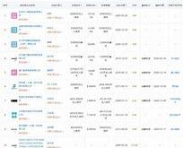 工作总结国芯科技股份有限公司工作内容及相关事例详述