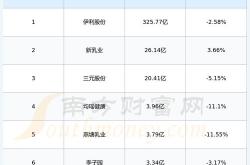 李子园股东大会筹备工作总结