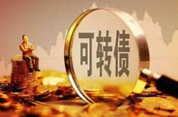 华检医疗控股有限公司