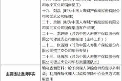 太保产险武邑支公司被罚万元：因编制虚假资料