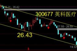 前个月股公司发布套期保值公告超则