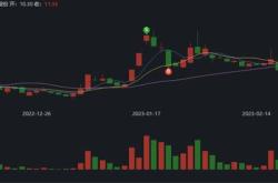 罗普斯金：亿股限售股将于月日上市流通