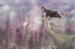 魔术师的秘密花园，爱情的幻变与魔法的交织