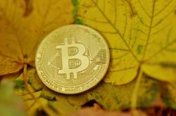 揭秘货币世界里的微积分，一克黄金究竟价值几何？