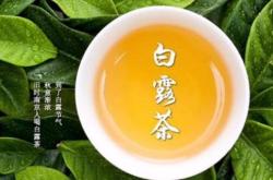 吃桂圆后多久喝茶叶