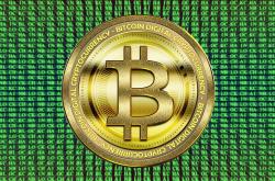 揭秘人体的微观世界，器官分布图的奥秘与生命密码