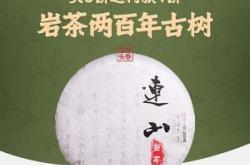 清远连山茶叶