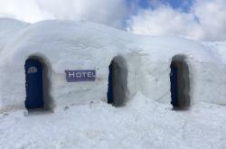 穿越冰雪寒冬，1月23日的不平凡旅程，坚韧与希望的交织
