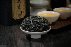 选择好看又香的茶叶品种