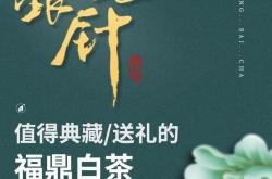 龙叙堂荒野宗师茶叶