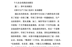 一、背景介绍