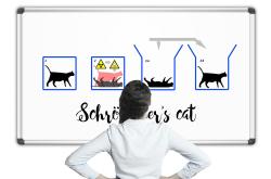 薛定谔的猫，量子力学的奇妙世界与现实生活