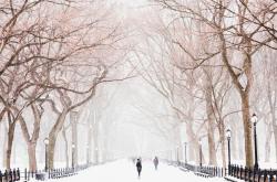 冬季行车安全指南，冰雪路面上的温暖提示