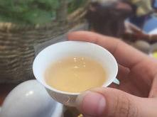 有茶叶的地方
