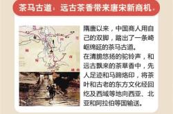 历史上对茶叶贡献最大