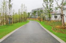 广西三江茶叶批发市场