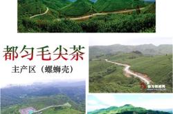 都匀茶叶品牌