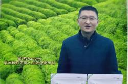 都匀茶叶有限责任公司