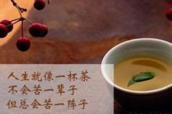 不同茶叶的茶语