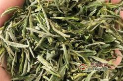茶叶黄山毛峰图片