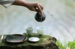 梦见别人问我要茶叶什么意思