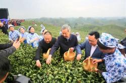 福州茶叶批发市场