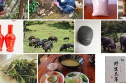 餐饮宣传片拍一个大概多少钱