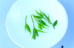 茶叶批发部
