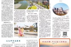 中央一台茶叶广告歌曲