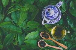 春季滋补皮肤的茶叶