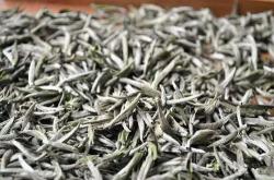 来宾茶庄