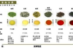 刚摘下的茶叶可以泡吗