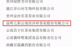 茶叶审评的一般程序
