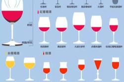 白酒和红酒代表什么意思